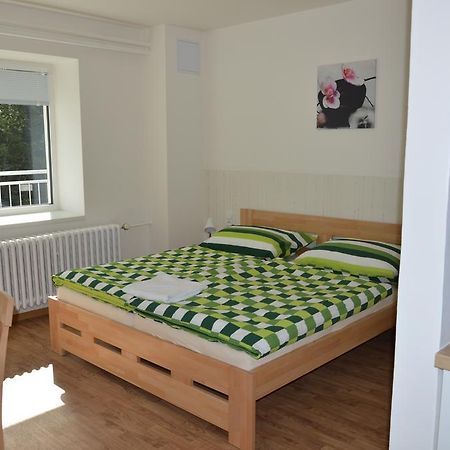 Penzion Havelka Apartmany Železná Ruda Exteriör bild