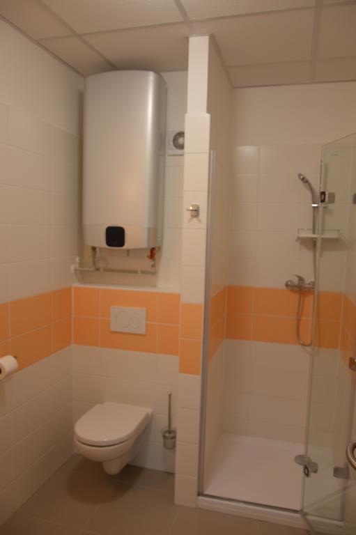 Penzion Havelka Apartmany Železná Ruda Exteriör bild